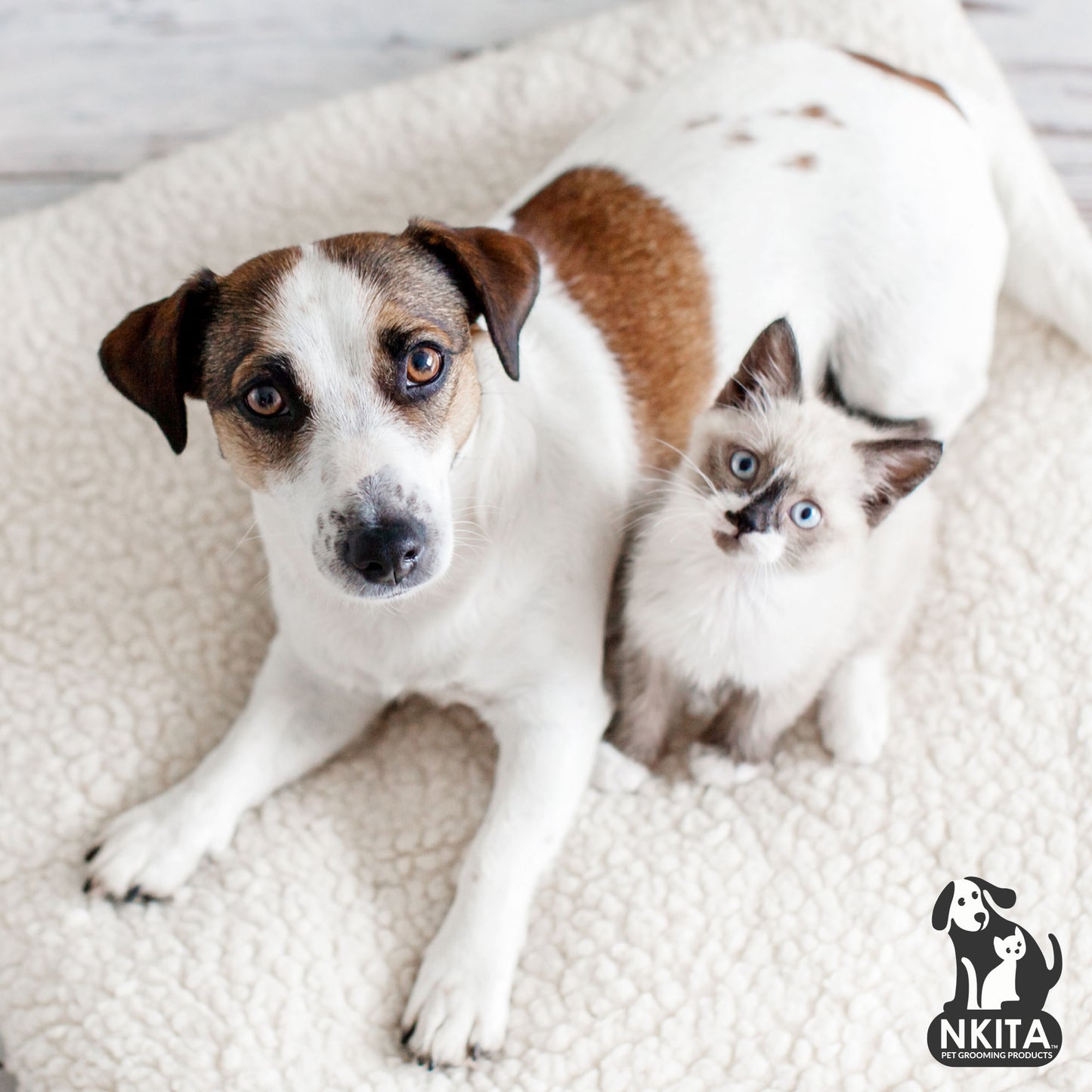 Nkita No Rinse Foam Moisturizing Shampoo for Dogs & Cats & Horses